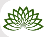 Fortune Vastu Wix website